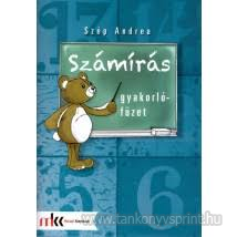 Szmrs gyakorlfzet