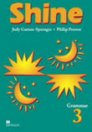 Shine 3. Grammar