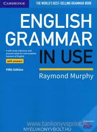 English Grammar in Use 5th Ed.with answers(Biz)