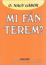 Mi fn terem?