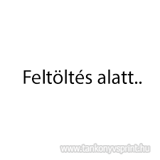 Meseolvas Kpes olvasknyv 2.o.