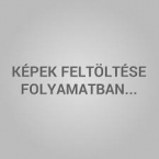des anyanyelvem munkatanknyv 4.I./NAT2020