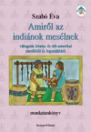 Amirl az indinok meslnek