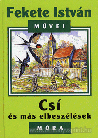 Cs s ms elbeszlsek