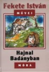 Hajnal Badnyban