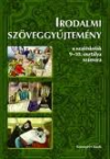 Irodalom szgy. a szak.9-10.