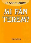 Mi fn terem?