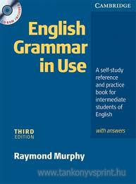 English Grammar in Use+CD