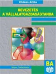 Bevezets a vllalatgazdasgtanba