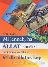 Mi lennk, ha llat lennk