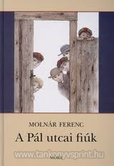 A Pl utcai fik