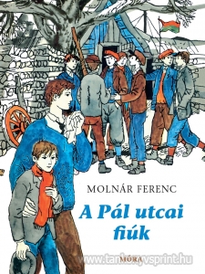 A Pl utcai fik