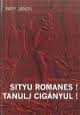 Sityu Romanes! tanulj cignyul